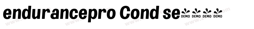endurancepro Cond se字体转换